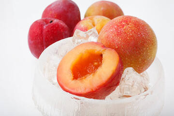 あんず　スタジオ撮影