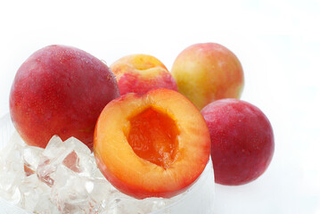 あんず　スタジオ撮影