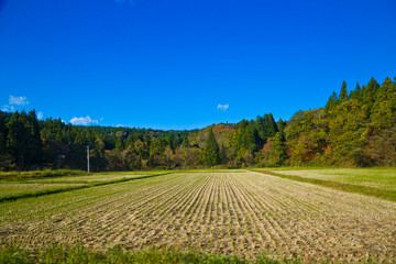 Fototapeta premium Lanscape of Yamagata countryside with mountains road and rice paddies, Yamagata, Tohoku, Japan.