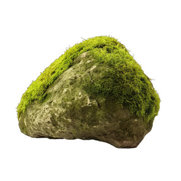 Green moss meadow on rock isolated on transparent background