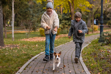 Fototapeta premium Brother and sister walk the dog in the park in autumn. Boy and girl running with jack russell terrier on a leash. 