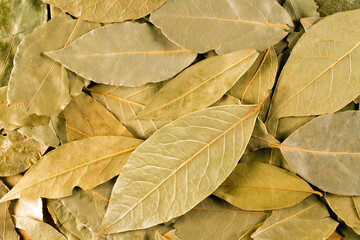 The texture of dry bay leaves. Fragrant leaves. Ingredient for cooking.