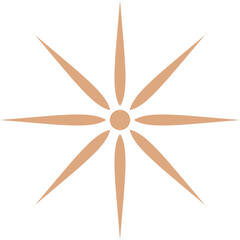 Abstract Boho Aesthetic Star Icon