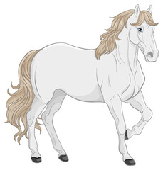 White horse cartoon isolated
