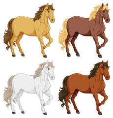 Set of horse cartoon