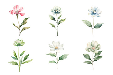 Beautiful watercolor floral hand-drawn collection, wild field flowers