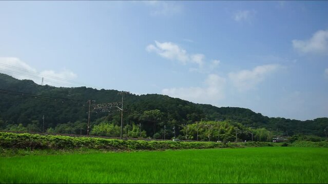 夏の田園地帯を走る225系新快速列車 （東海道本線 安土 - 能登川, 2023年7月）