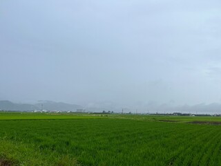 220715田んぼ渋江

山形市渋江
田んぼ
曇り
