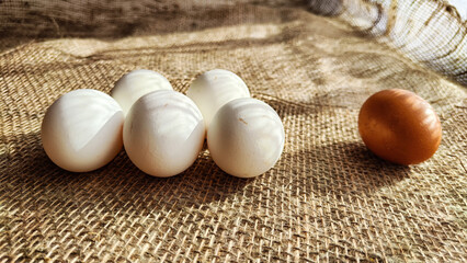 eggs on a wooden table
