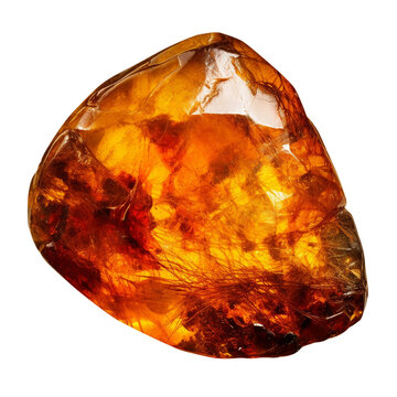 Amber fossil. transparent background