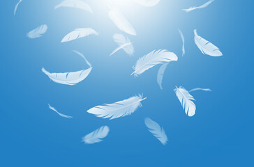 Abstract White Bird Feathers Falling in The Sky. Feathers Floating in Heavenly.