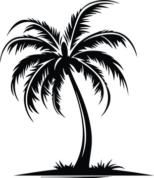 Coconut Tree Logo Monochrome Design Style
