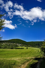 sea, blue sky, sountry
