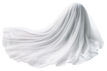 Bridal veil. isolated object, transparent background