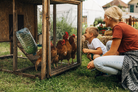Happy boy crouching in front of a chicken coop and looking at chickens with his mother.