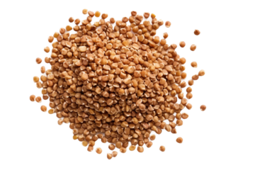 Buckwheat grain . isolated object, transparent background