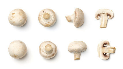Collection of champignons isolated on white background
