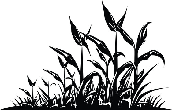 Cornfield Vector Images – Browse 24,332 Stock Photos, Vectors, and Video |  Adobe Stock