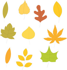 Fototapeta premium autumn leaves set, isolated. Simple flat cartoon style