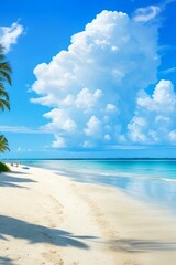 beautiful beach with coconut tree