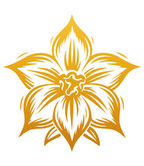 Hand drawn daffodil flower . Sketch of daffodil flower with leaves and stem . golden vintage etching vector botanical isolated on transparent. Illustration of botany floral plant, PNG and SVG