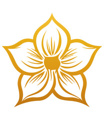 Hand drawn daffodil flower . Sketch of daffodil flower with leaves and stem . golden vintage etching vector botanical isolated on transparent. Illustration of botany floral plant, PNG and SVG