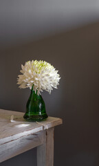 A simple composition with a white flower. Chrysanthemum bud. Minimalism.
