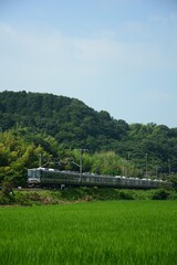 Obraz premium 夏の田園地帯を走る223系普通列車 （東海道本線 安土 - 能登川, 2023年7月）