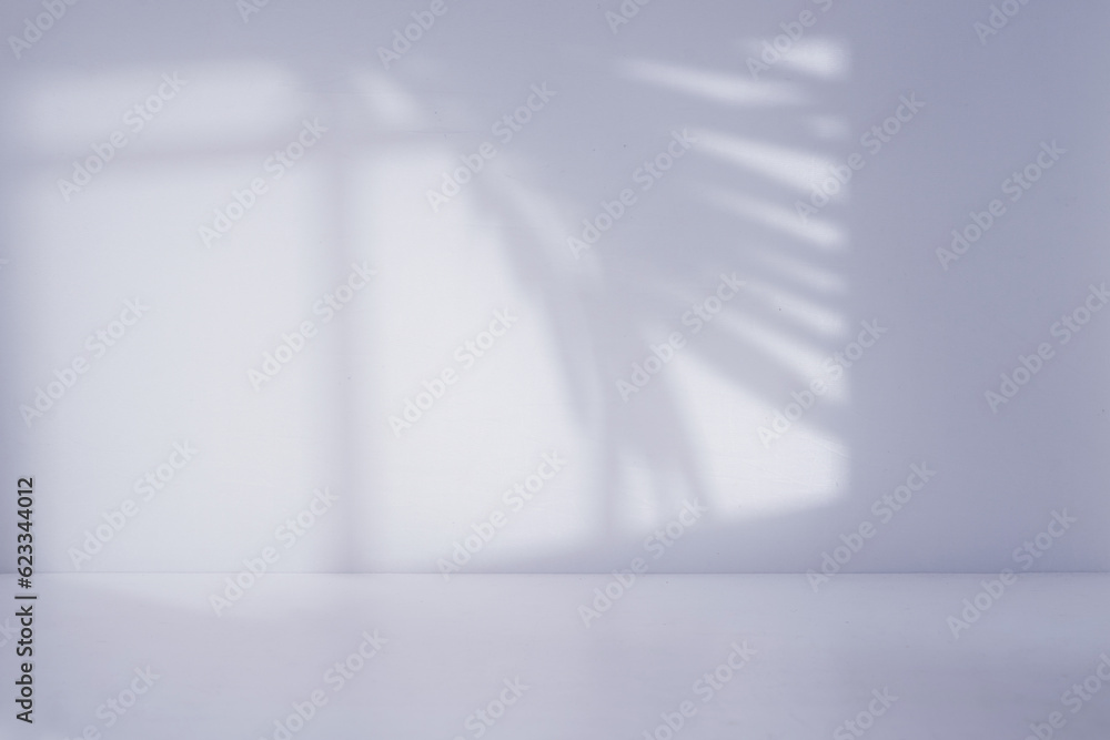 Poster Room perspective display with window shadow