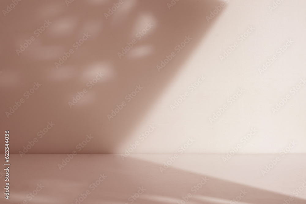 Poster natural room with shadow for display