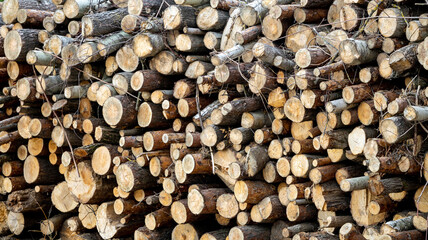 Pile of chopped firewood ready for winter with blue sky background