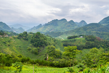 Naklejka na ściany i meble panoramic view of ha giang loop, vietnam