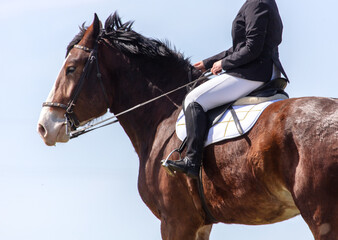 A woman rides a horse against a blue sky