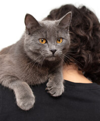 Portrait of a cat on the shoulder of a woman isolated on white background