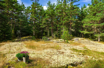 Minimalist Swedish Landscaping