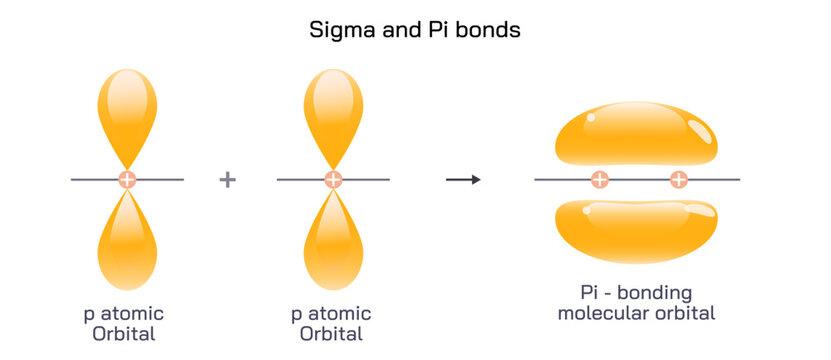 Covalent bonds happen when atoms share electrons. Sigma bonds are the first type of covalent bond, formed by overlap of atomic orbitals head to head. Sigma and pi bonds vector illustration. molecule