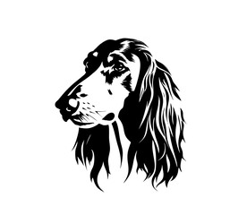 Afghan Hound dog head front view black and white bw two colors silhouette PNG. Template for laser engraving or stencil, print for t shirt