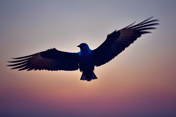 A bird flying in the sky with spread wings