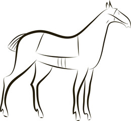 Hand drawing contour silhouette of graceful horse