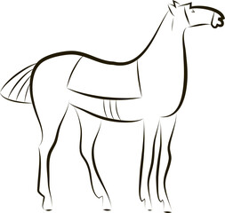 Standing horse with saddle. Black and white stallion contour. Horse logo. Idea for design of stable, farm, equestrian competition.