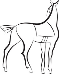 Hand drawing of standing horse. Graceful stallion. Black and white outline graphics for emblem, logo, stable, farm or horse racing.