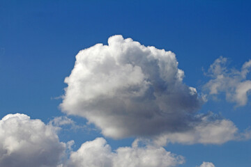 Naklejka na ściany i meble cumulus cloud in the summer sky