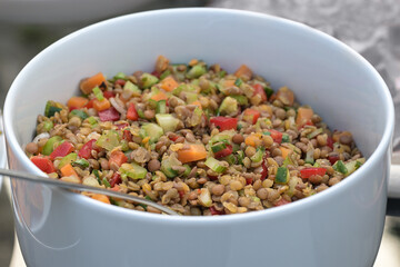Healthy vegetable salad of lentils with carrot, bell pepper, celery, spices and herbs in a white bowl, selected focus