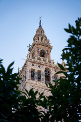 Obraz premium Belfry of the Giralda in Seville (Andalusia, Spain). Minaret of Seville Cathedral. The most famous religious tower in the city of Seville.