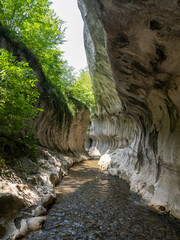 Banita gorge ( Cheile Banitei ), near Petrosani city, Hunedoara county, Romania