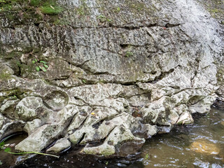 Details of Banita gorge ( Cheile Banitei ), near Petrosani city, Hunedoara county, Romania