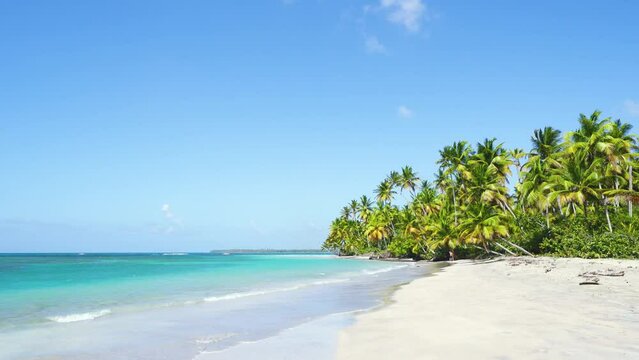 Beautiful tropical paradise beach with white sand, coconut trees, sea and blue sky. Sea wave on the sand. Background for outdoor travel. Summer holiday concept. Caribbean Island of Dominican Republic.