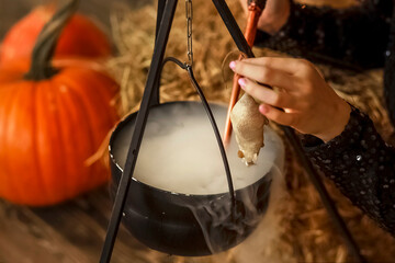 Halloween witch brewing up a spell with a rat