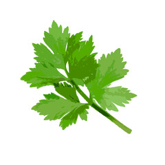 celery