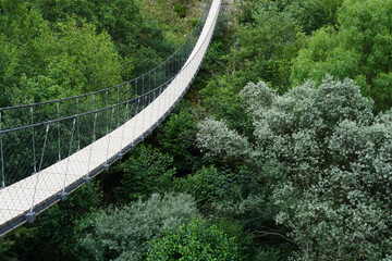 Obraz premium Pedestrian suspension bridge over green forest in Mondego pathways, Guarda - Portugal
